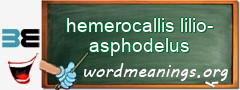 WordMeaning blackboard for hemerocallis lilio-asphodelus